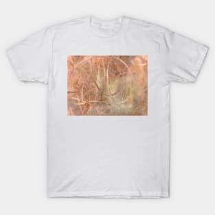 Touch Me So Gently T-Shirt